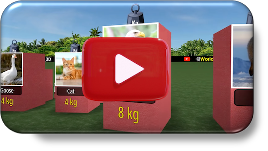 Comparison of various Animal Weights