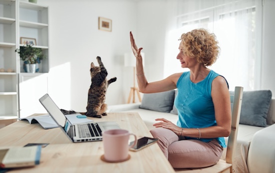 Working out your Work From Home (WFH) expenses – 2025 Rules